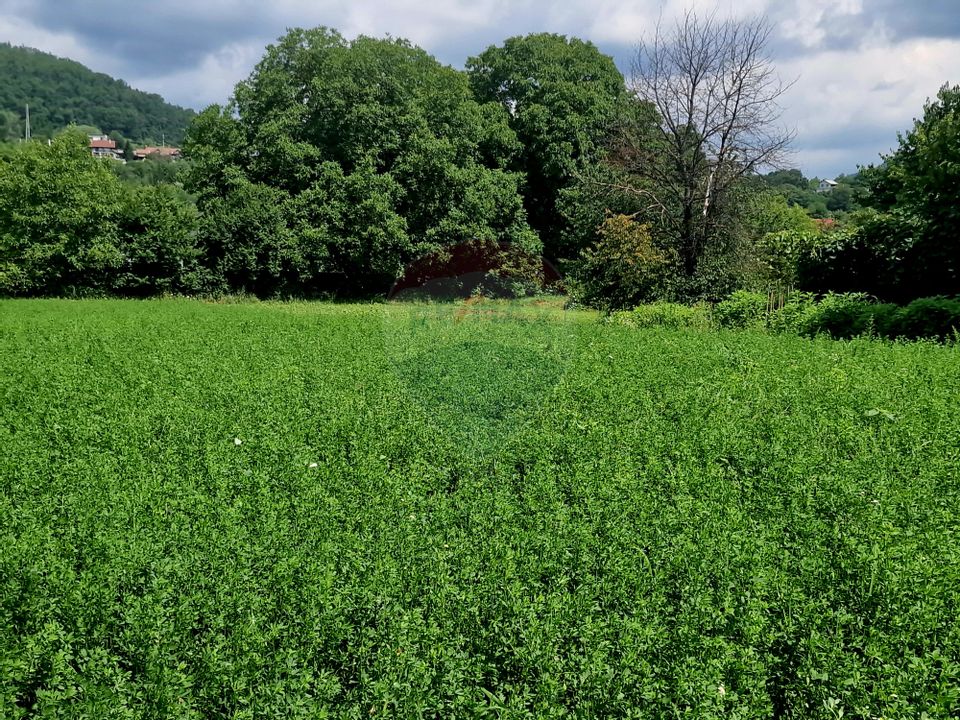 Teren intravilan 1000 mp – Viișoara, utilități