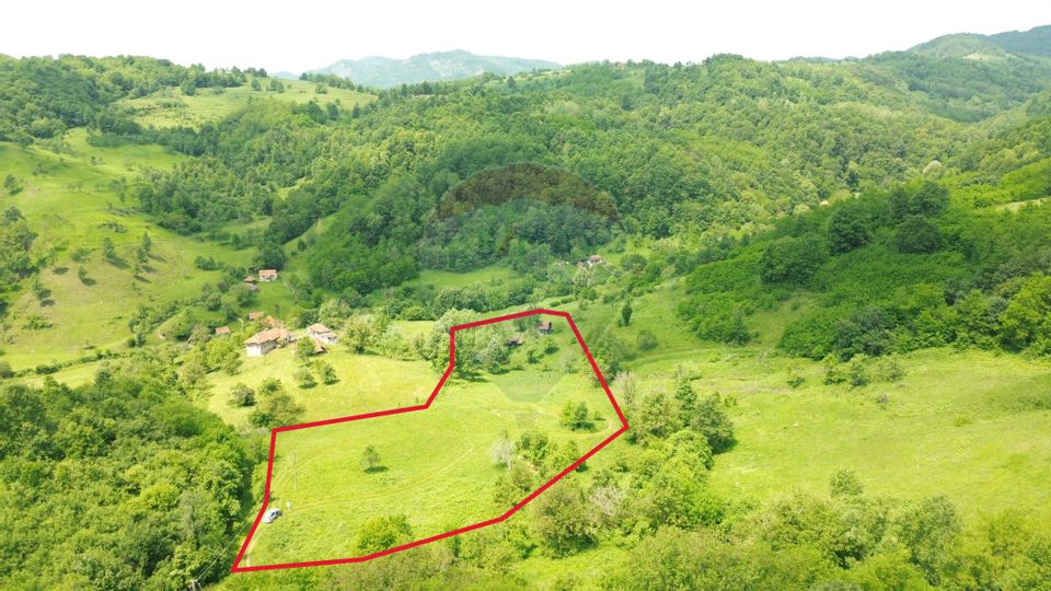 Teren intravilan de vis în Munții Apuseni, curent + izvor – 13.811 mp