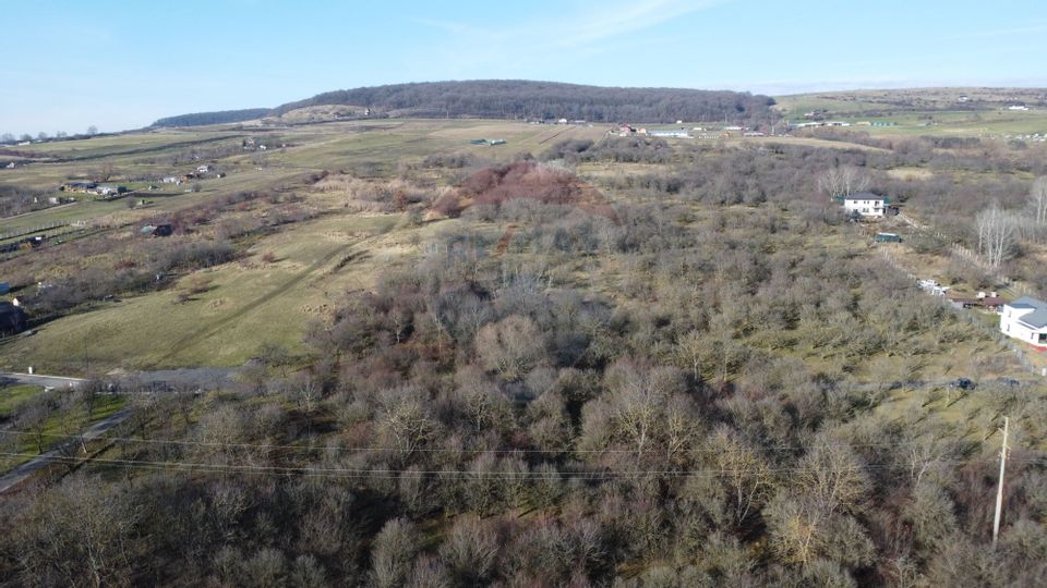 Teren 20.146 mp Dâmbu Rotund (Lomb).Extravilan.Potențial rezidențial