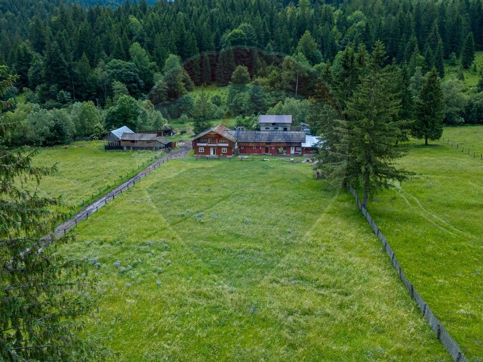 Fermă de vânzare, teren 21436 mp intravilan, Coșnea, Agăș