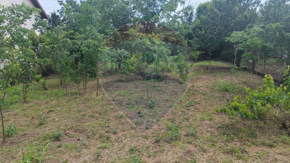 3 room House / Villa for sale