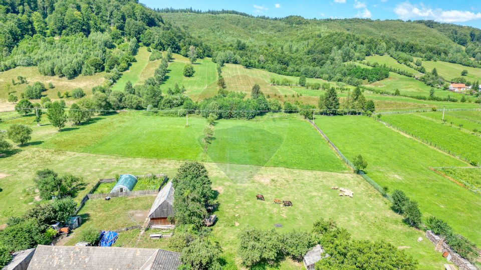 De vânzare: teren de 7.255 metri pătrați în Vama Buzăului