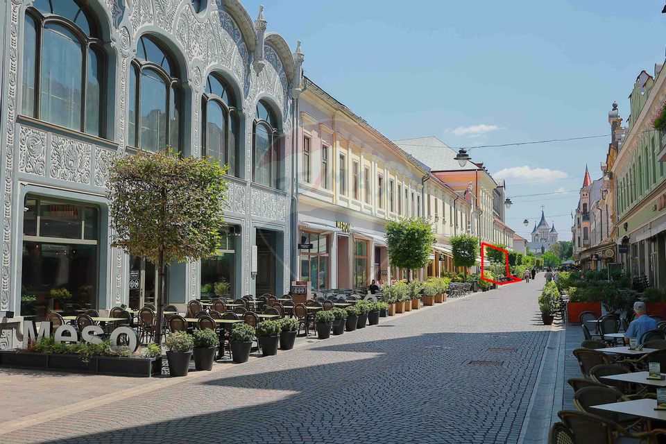 De vânzare — Spațiu comercial parter 409 mp, Vasile Alecsandri