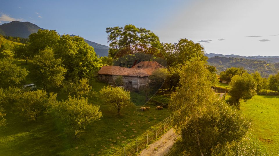 Land 3,000sqm Bran / Strada Clincea