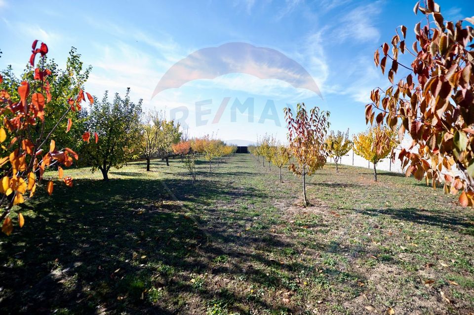 5 room House / Villa for sale