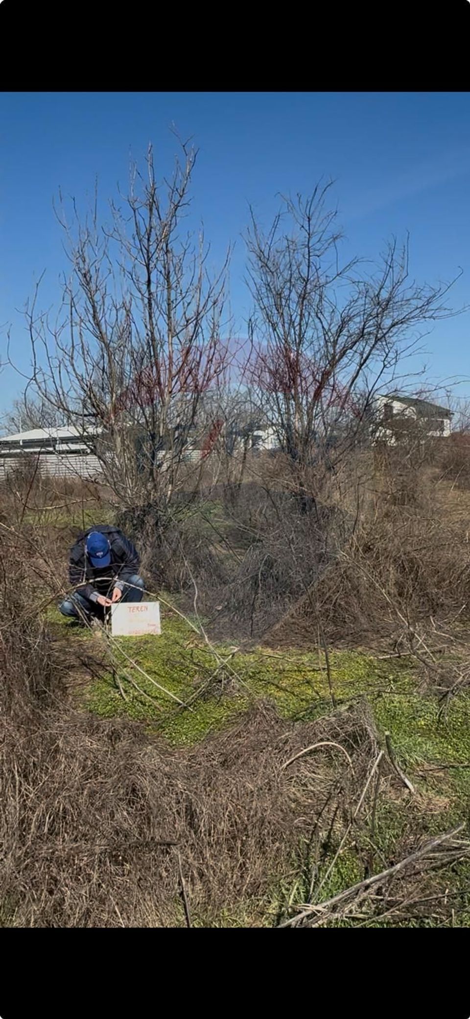Teren 1000 mp de vanzare in Popesti-Leordeni / Strada Echinoctiului