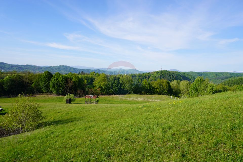 Land 38,592sqm Sighetu Marmatiei / Strada Mocăniței