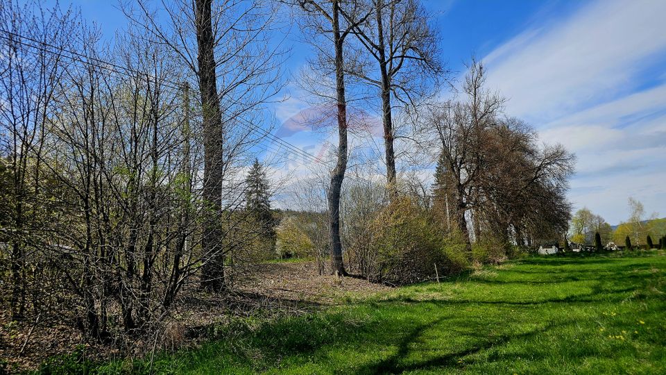 Land 10,000sqm Nemtisor / DJ 155C