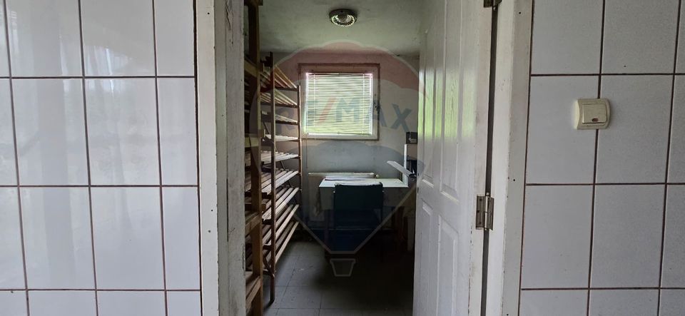 10 room House / Villa for sale