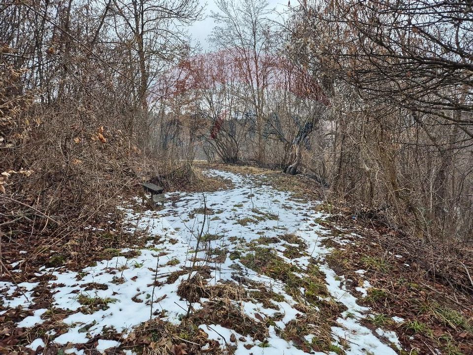 Teren 1,577mp Brasov / Strada Valea Tei