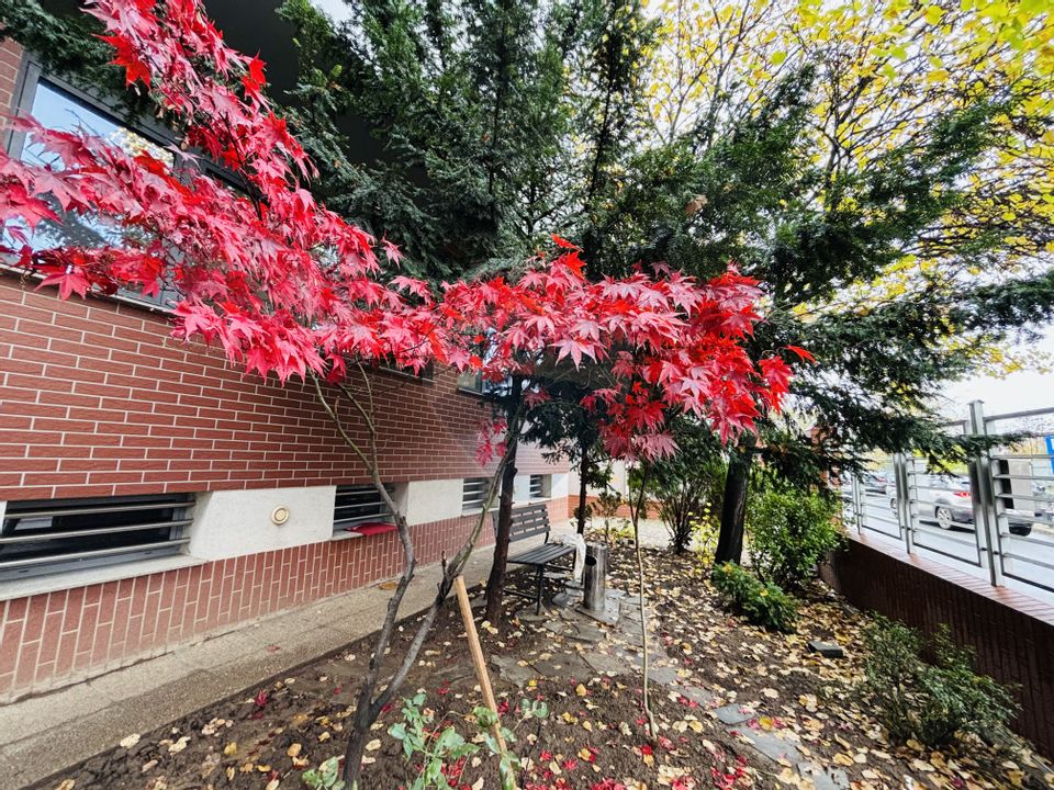 Spațiu de birouri de 98mp de închiriat în zona Barbu Vacarescu