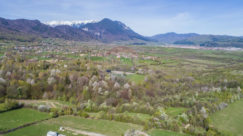Land 6,800sqm Bran / Strada Tohanita