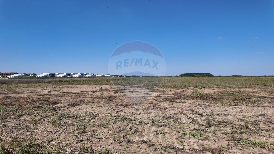 Land 1,100sqm Corbeanca / Strada Margaritarului