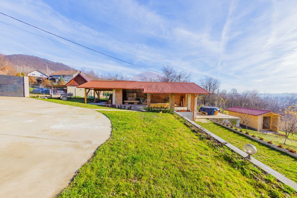 VILA DE VIS CU TEREN GENEROS, DE VANZARE