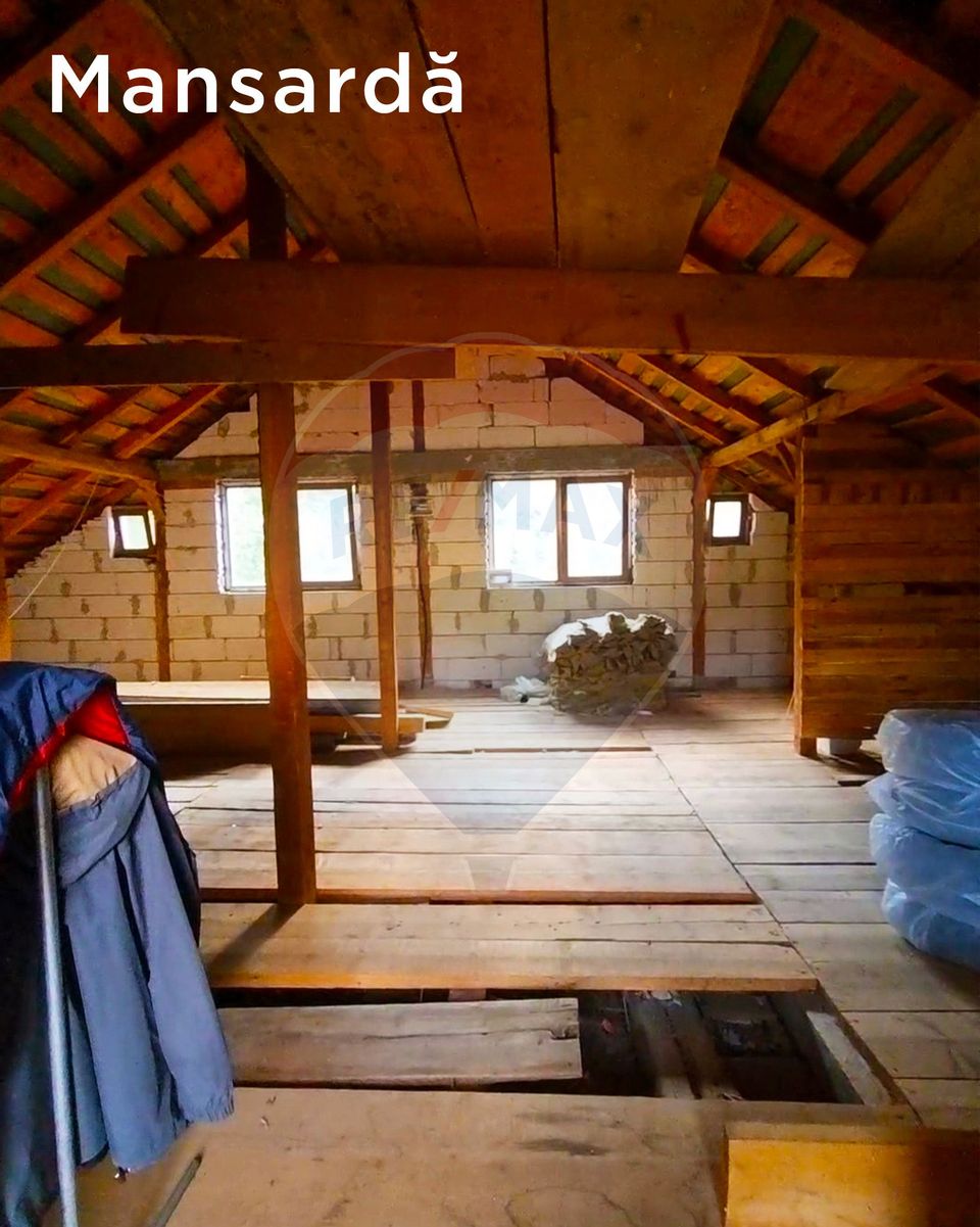 4 room House / Villa for sale, Valea Borcutului area