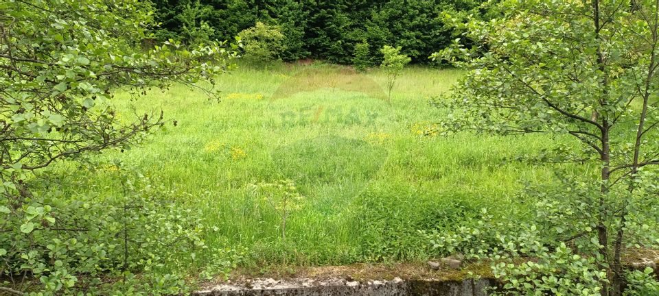 Land 2,573sqm Baia Mare / Strada Pandurilor
