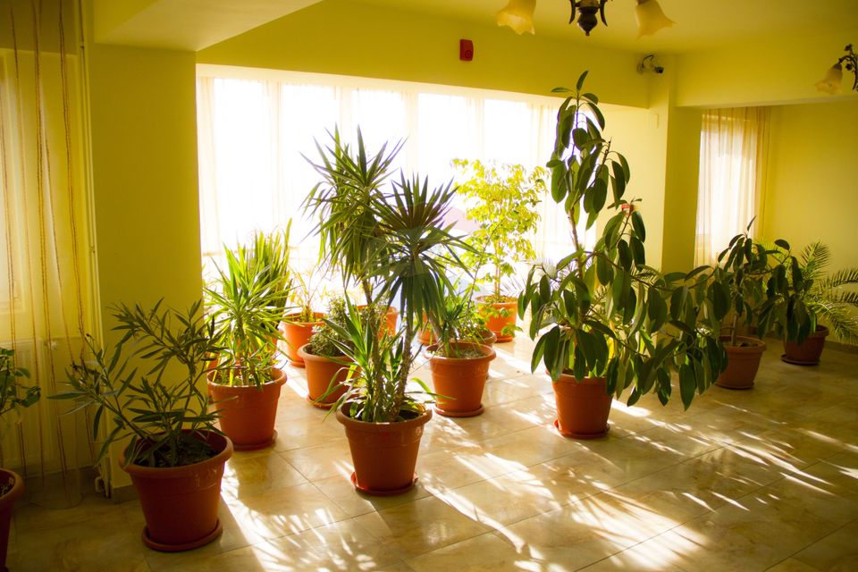 Hotel de vanzare la cateva minute de Podul Mogosoaia –Cu 40 de camere