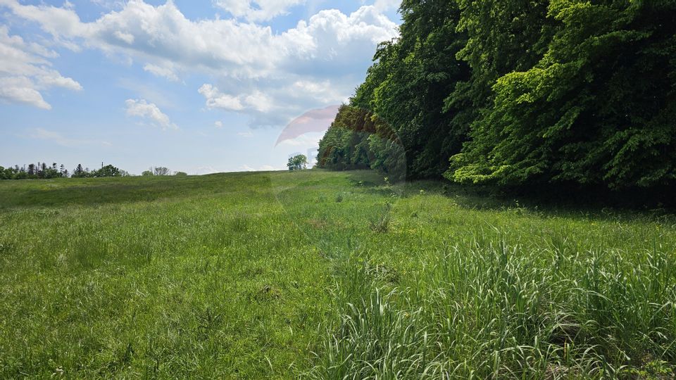 Teren Ilisesti  7000mp extravilan/ DN 17, Suceava