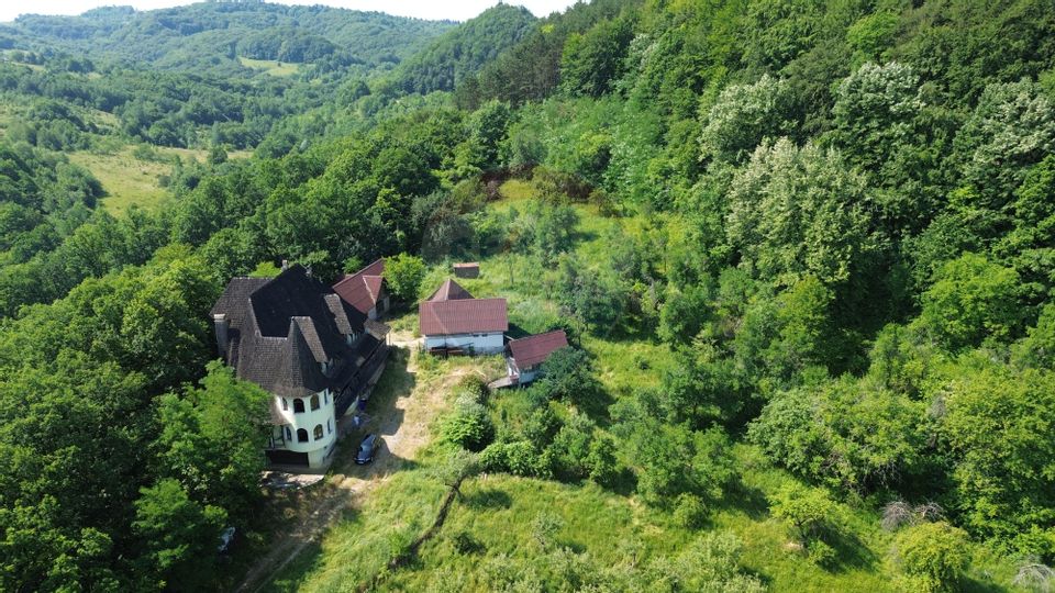 DE VANZARE CASTEL IN MARAMURES