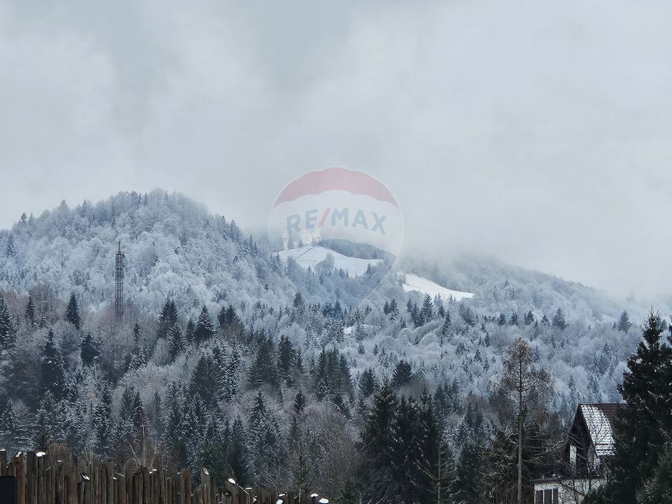 Colt de paradis pe malul lacului Colibița, la "Marea de la Munte"