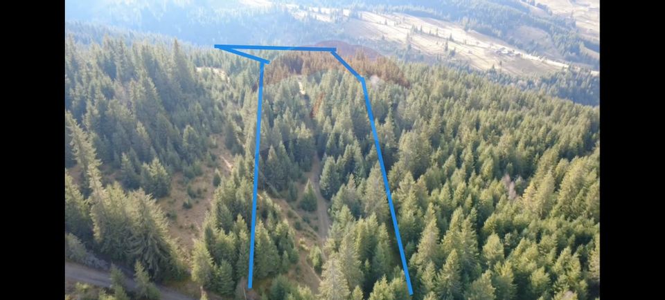 Land 17,895sqm Dorna-Arini / Prelungirea Cozănești