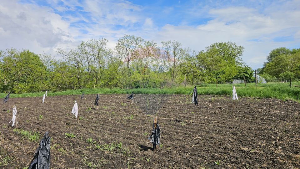 Casă  cu 3 camere, teren intravilan de 1300mp în Ipotești Tișăuți, SV