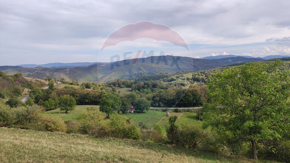 Teren constructii si faneata/livada 3082 mp Damis Bratca drum DJ 764D