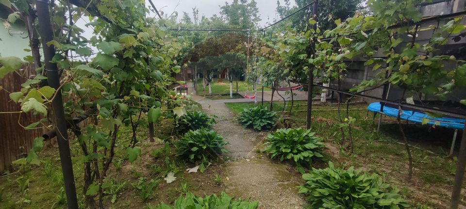 5 room House / Villa for sale