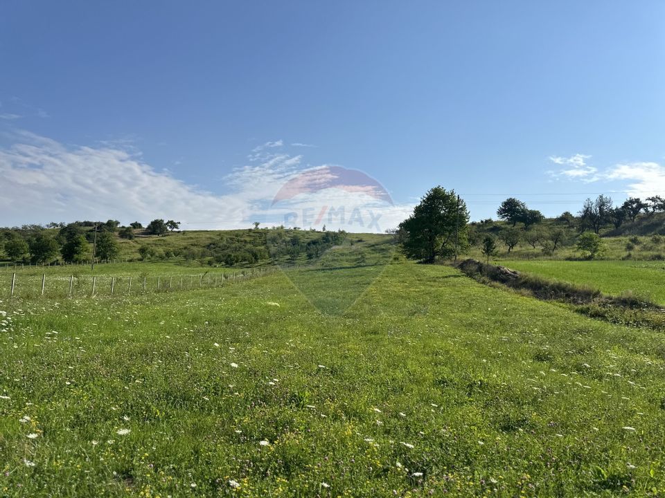 Land 8,300sqm Negresti (Dobreni) / Drumul DEALUL OTEL