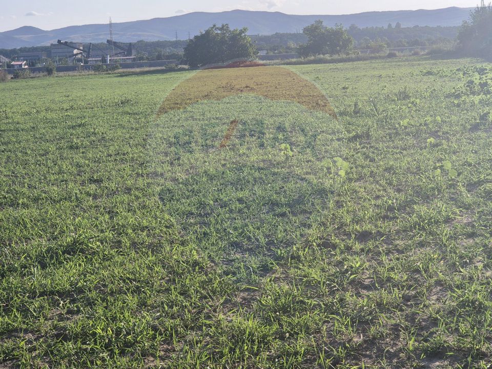 Teren 5,000mp Rusi-Ciutea / Strada Margaretelor