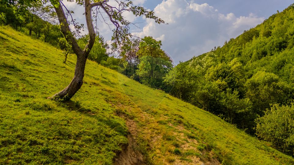 COMISION 0% Teren 11,381 mp Moieciu de Jos / Oportunitate unică