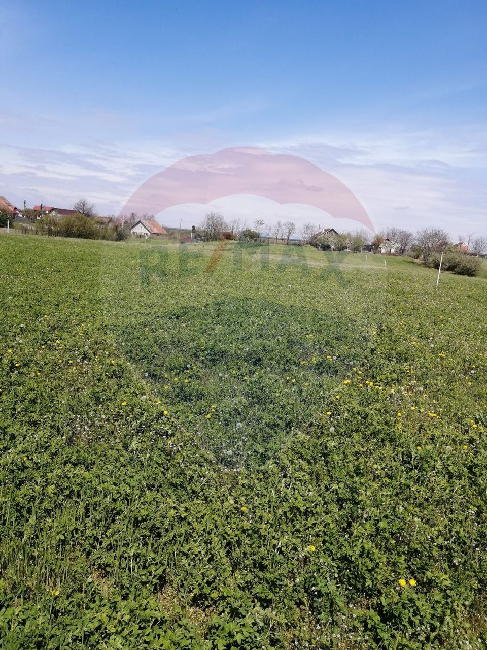 Land 6,574sqm Les / Soseaua Principala