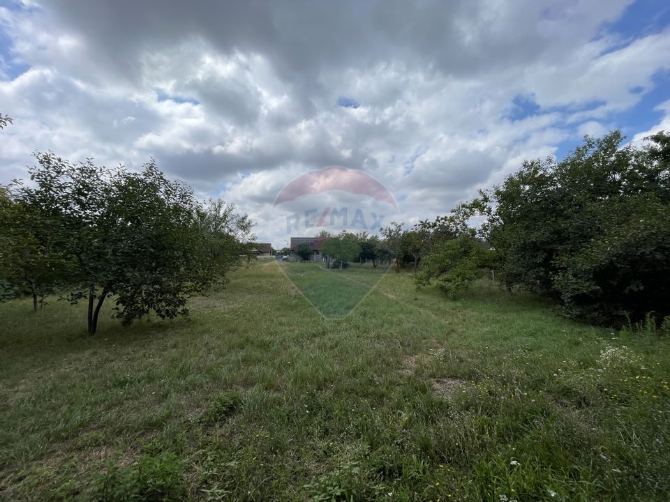Spacious American-style house