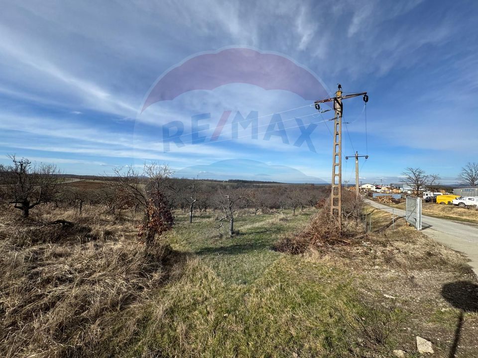 Land 70,808sqm Cuied / Drumul pp