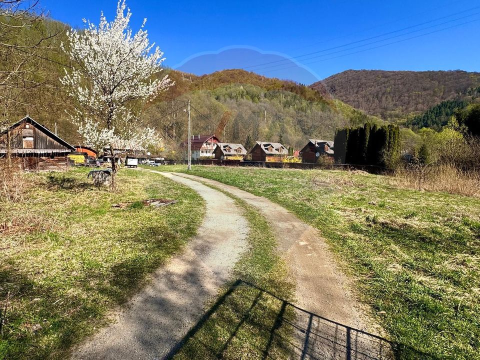 Teren Tarnița / Lăpușești