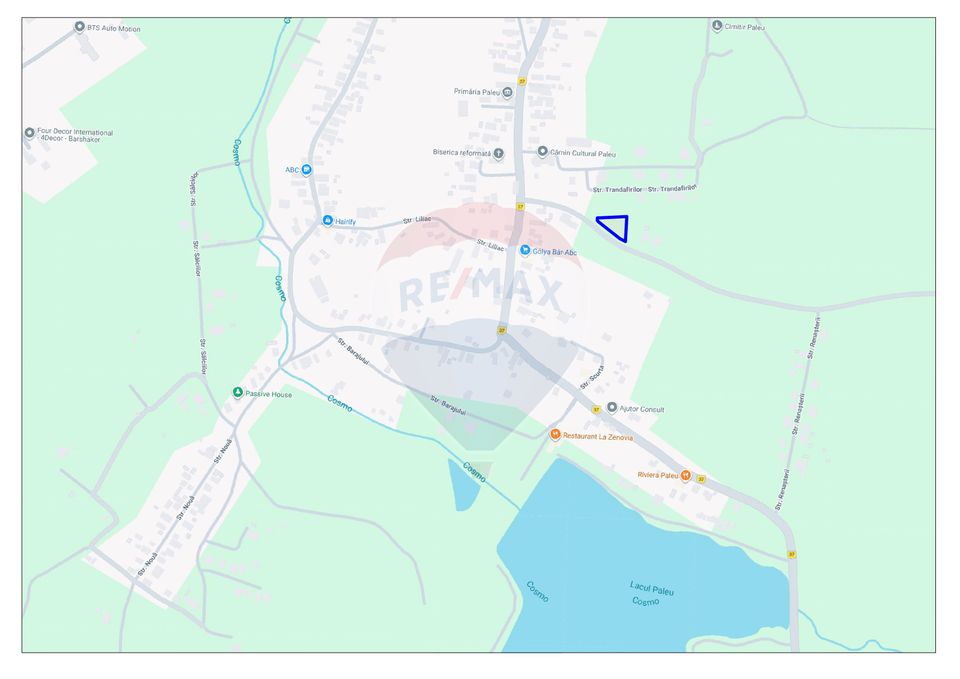 Land 1,106sqm Paleu / Drumul Principal