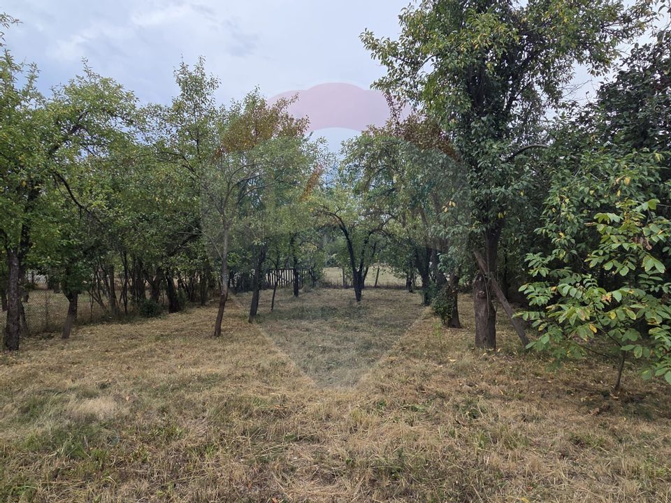 Casă si teren de 1195mp in Tinca