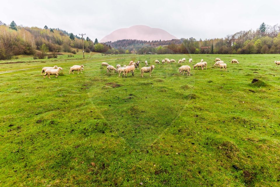 Land 1,224sqm Rasnov / Strada Poiana velicanului