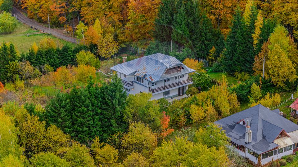 7 room House / Villa for sale