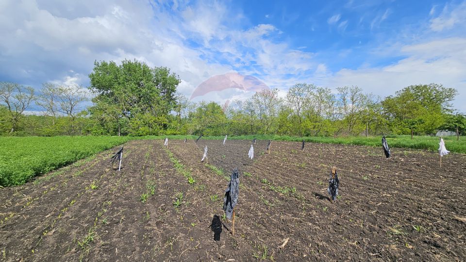 Casă  cu 3 camere, teren intravilan de 1300mp în Ipotești Tișăuți, SV