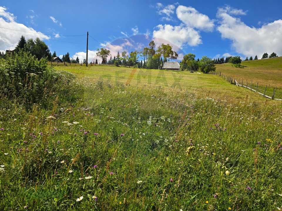 Teren de vis în Fundata 1934mp sau 3868mp, la înălțimea sufletului tău