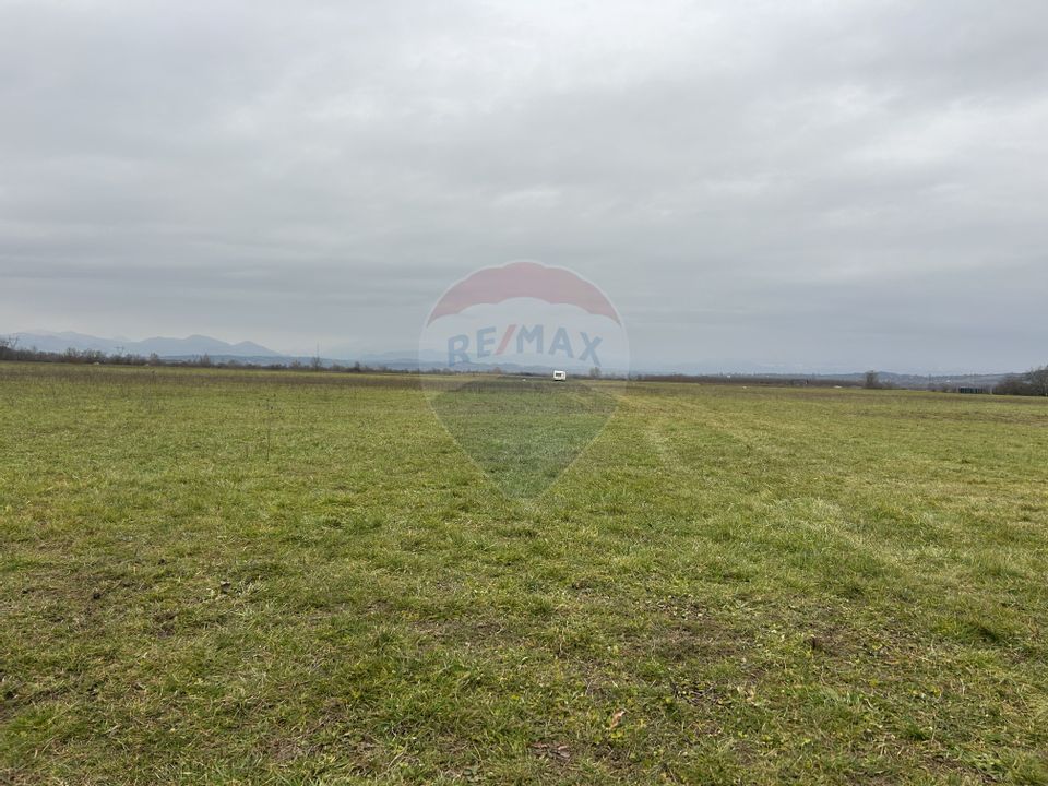 Land 4,250sqm Remetea Chioarului / Drumul Judetean