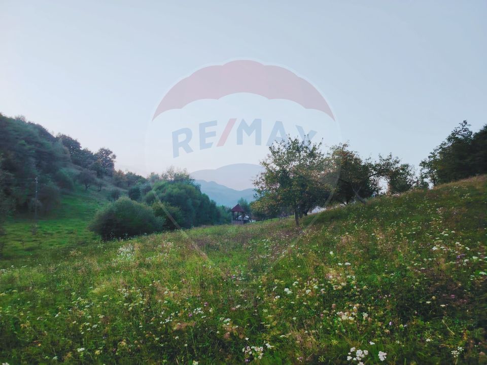Land 2,339sqm Barsana / Strada Principala