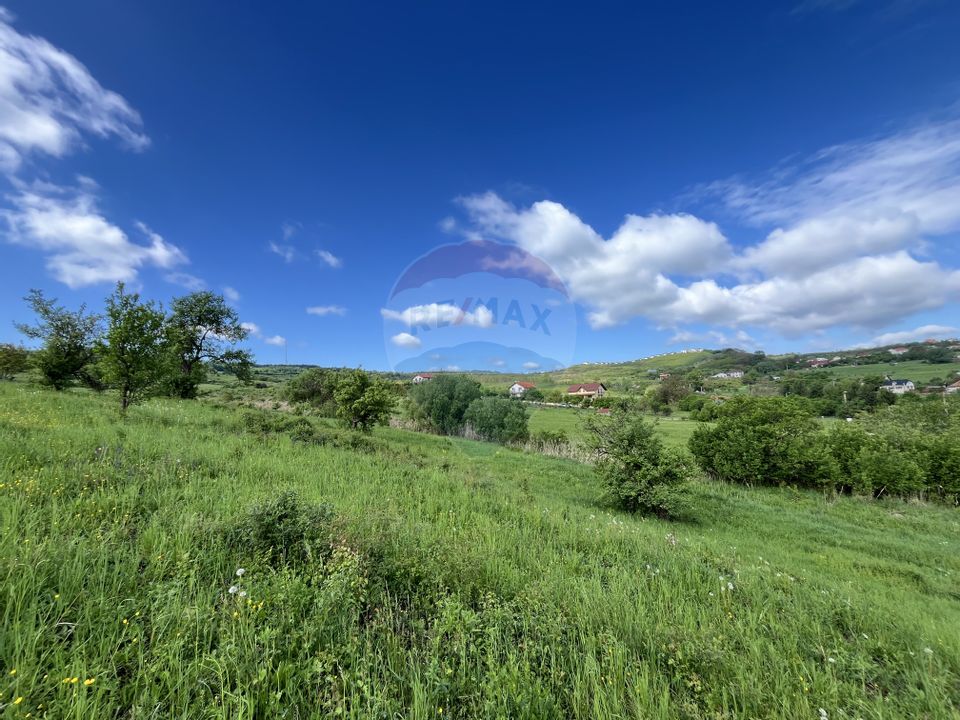 Teren cu PUZ Cluj-Napoca | Casa individuala | Borhanci-Sopor