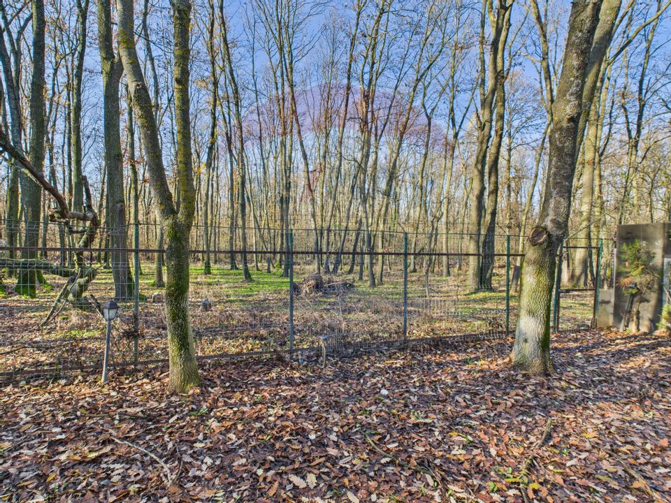 De vanzare | Vila in Paradisul Verde cu gradina si padure proprie |