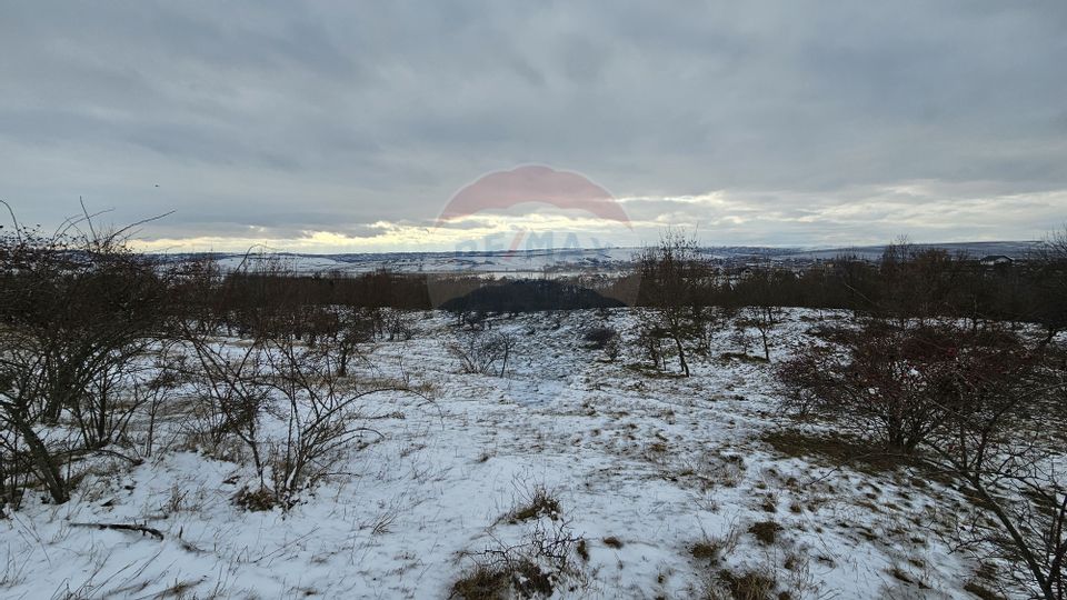 Teren 10,000mp Rădășeni / Șoseaua DN2-E85, județul Suceava