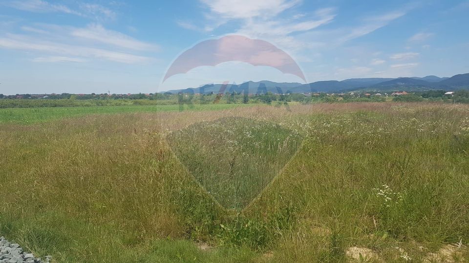 Land 800sqm Baia Mare / Strada Trandafirilor