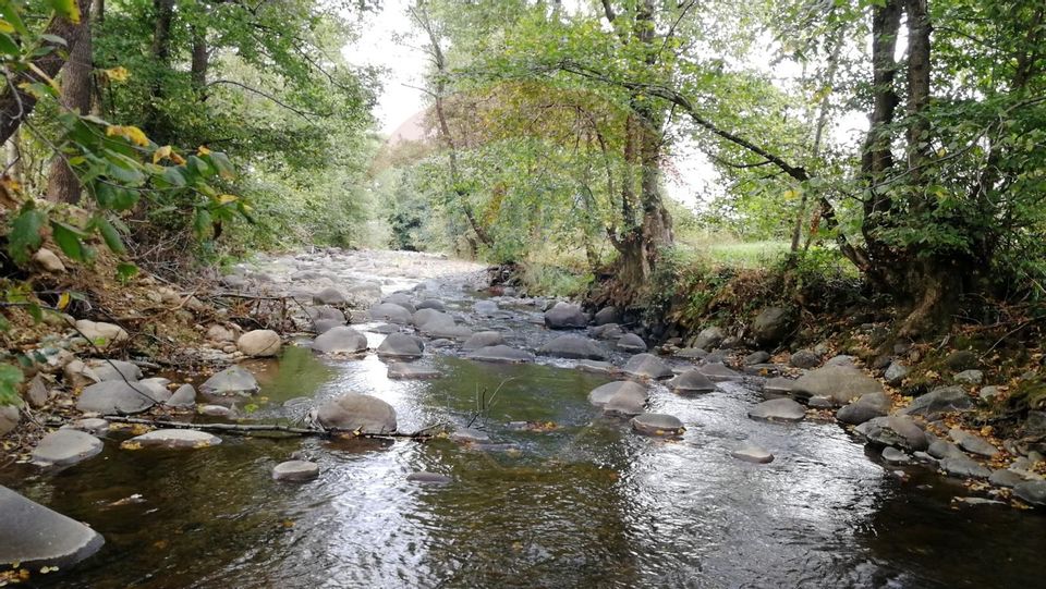 Teren 2,932mp Sarbi (Budesti) / Drumul Principal