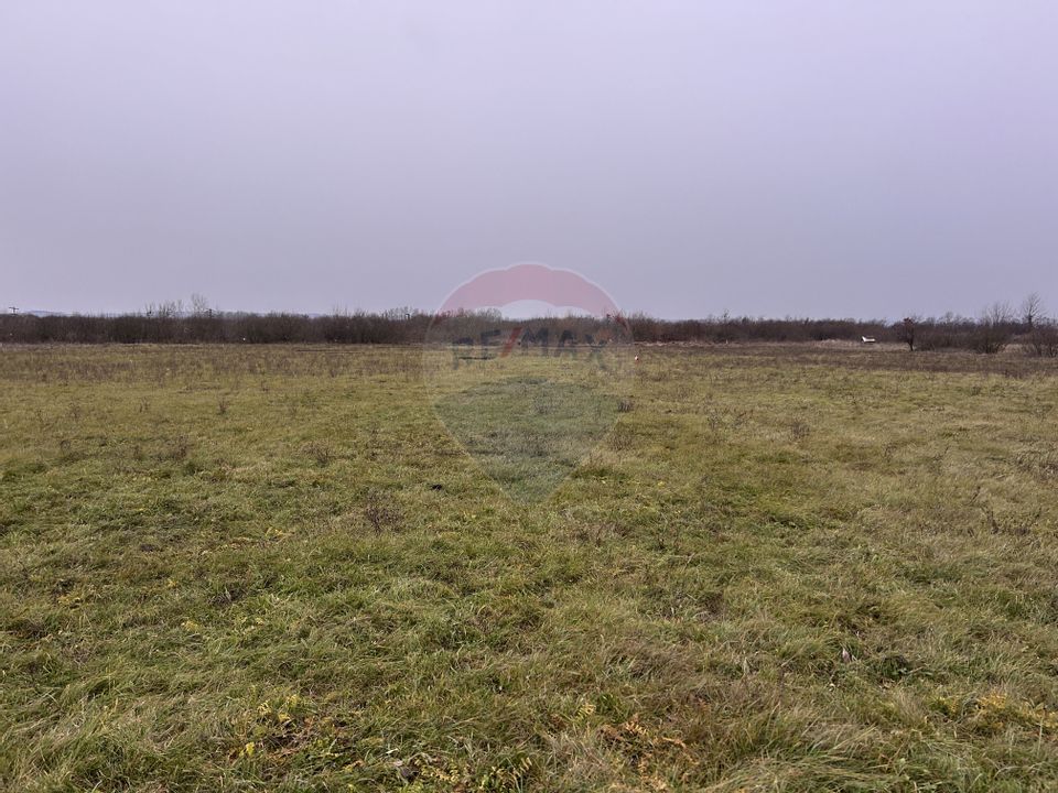 Land 685sqm Baia Mare / Strada Sebesului