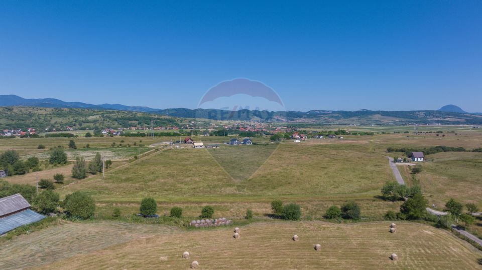 Teren Bran -Sohodol, Strada La mesteceni, 6900mp